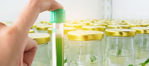 科學賦能，健康生活 康寶萊以材料科學研究引領健康消費新紀元