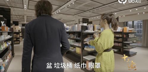 薇婭公司的